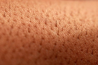 Khoa học phát hiện tiếng kêu thầm lặng của da người