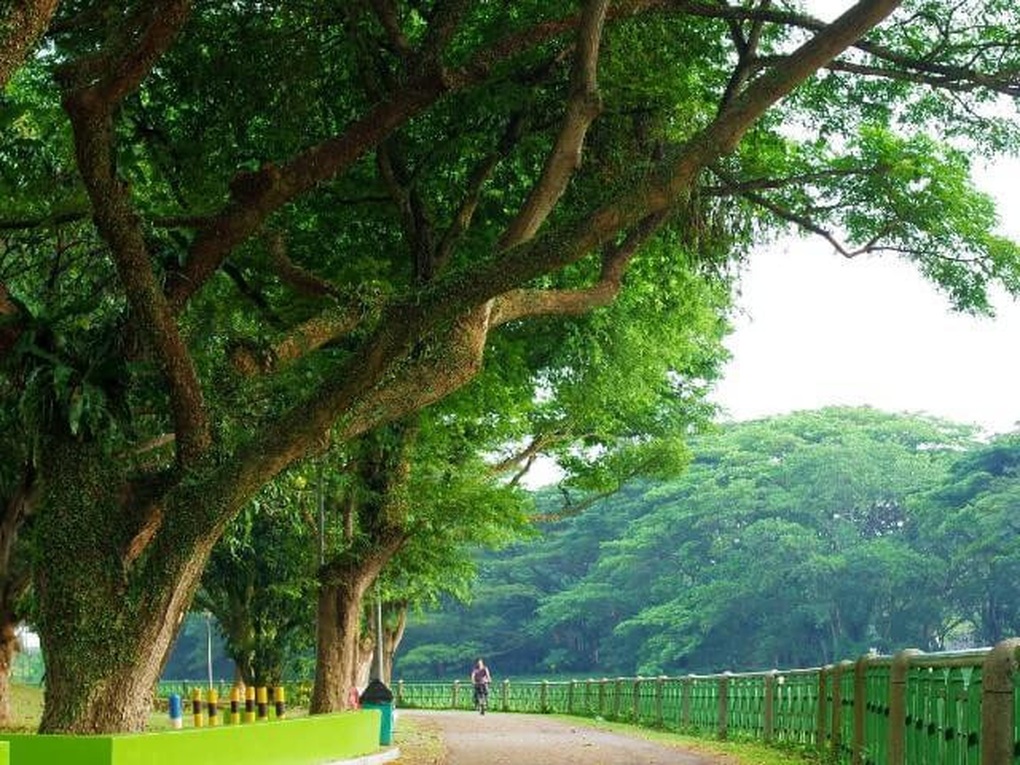 Singapore - thiên đường cho người yêu thích đạp xe - 4 Singapore - thiên đường cho người yêu thích đạp xe - 4