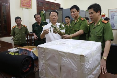 Hành trình triệt phá đường dây ma túy “khủng” xuyên quốc gia