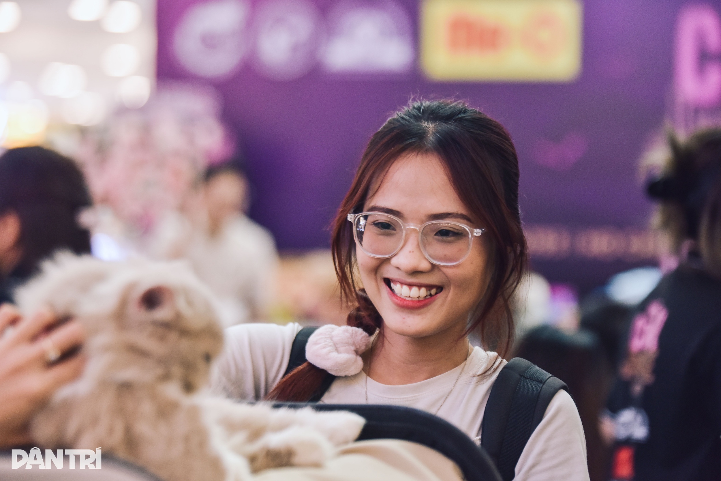 ویتنامی بلی نے جنوب مشرقی ایشیائی بلیوں کی خوبصورتی کا مقابلہ جیت لیا - 8 Mèo Việt Nam thắng giải cuộc thi sắc đẹp mèo Đông Nam Á - 8