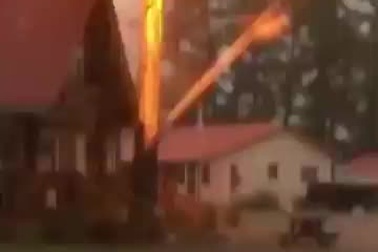 Khoảnh khắc kinh hoàng khi tia sét đánh trúng thân cây cao