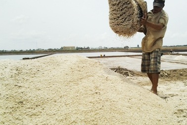 Về xứ "Công tử Bạc Liêu" trải nghiệm làm muối cùng diêm dân