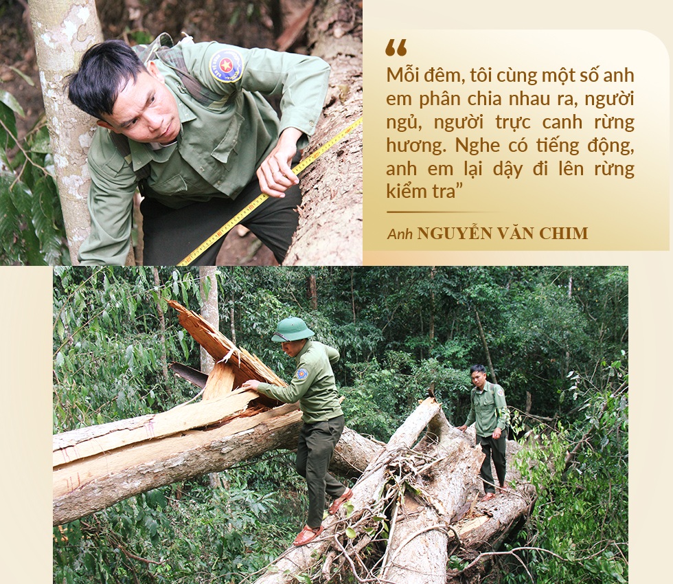 Dựng lán canh báu vật giữa đại ngàn Tây Nguyên - 15