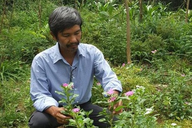 Nghiên cứu thành công thực phẩm hỗ trợ điều trị bệnh hen suyễn