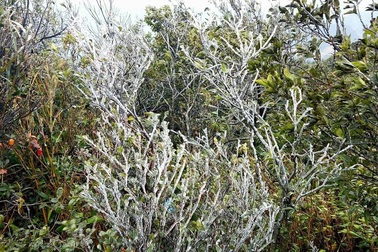 Mẫu Sơn âm 0,3 độ C, băng giá phủ trắng