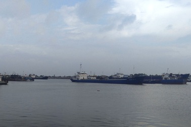 Cá chết tại biển Thanh Hóa: Giám sát môi trường Khu kinh tế Nghi Sơn