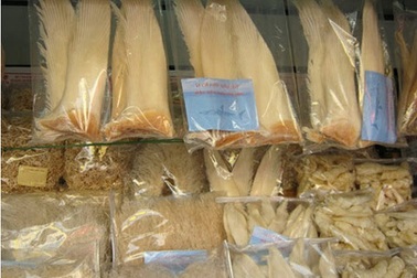 Dân Sài thành mua nhân sâm, vi cá mập tẩm bổ mùa thi 