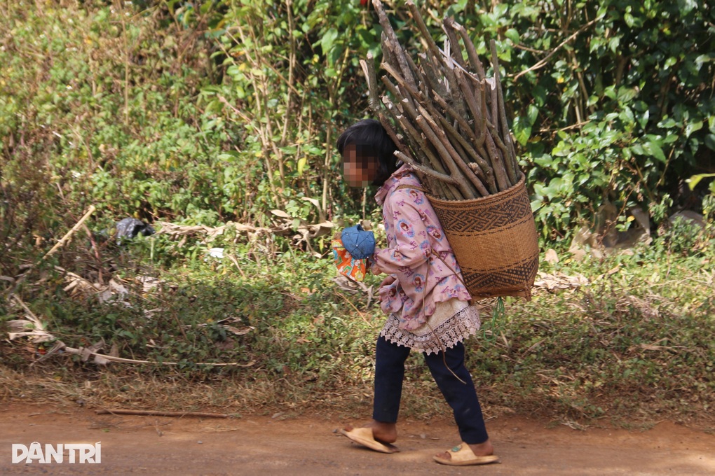 Học sinh bị lôi kéo nghỉ học đi làm việc nhẹ lương cao - 1 Học sinh bị lôi kéo nghỉ học đi làm việc nhẹ lương cao - 1