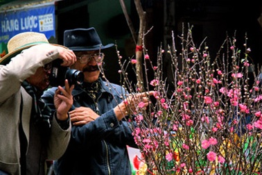 Hà Nội: Đào, quất đáp ứng đủ cho dịp Tết Tân Mão