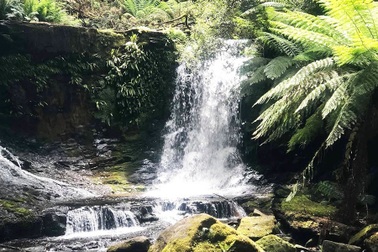 "Nhà vợ giàu thì hãy gửi thêm tiền về"