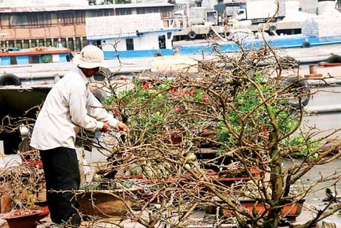 Chợ hoa xuân trên sông Sài Gòn