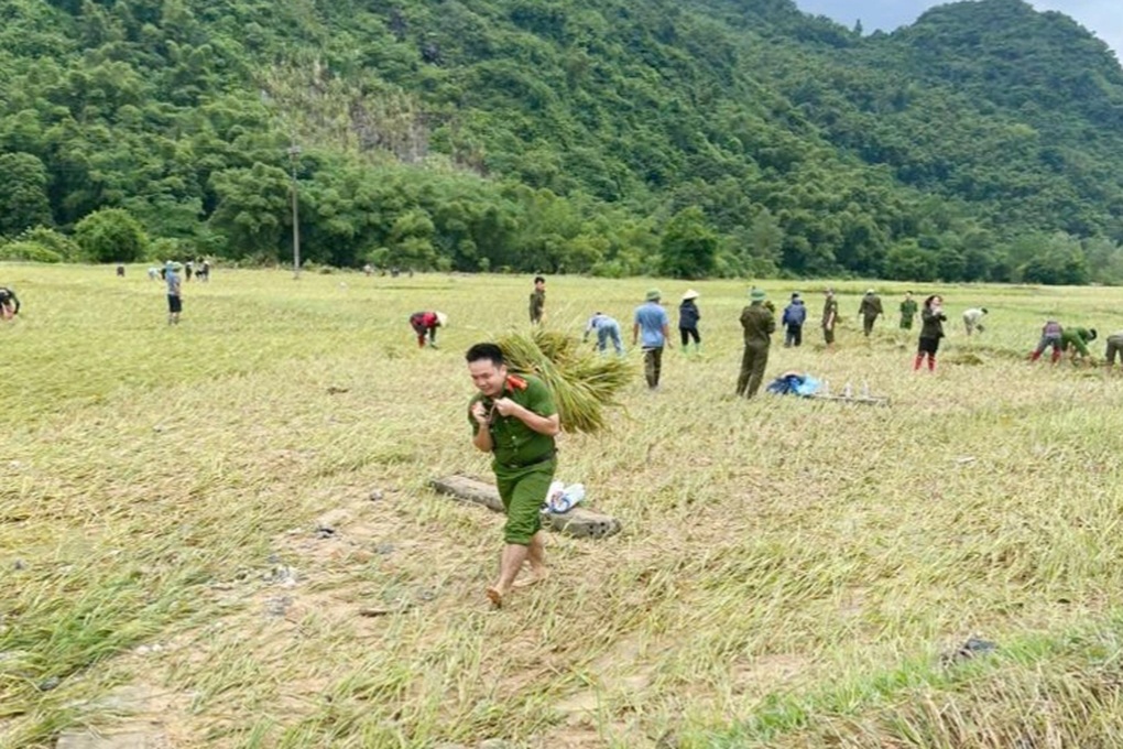 Công an xuống đồng giúp dân gặt lúa chạy đua với bão Bualoi - 2 Công an xuống đồng giúp dân gặt lúa chạy đua với bão Bualoi - 2