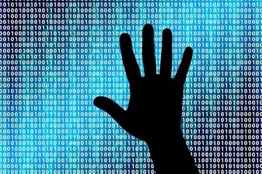 Hơn 1,6 triệu người tìm việc làm bị lộ thông tin cá nhân trên mạng