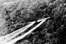 Tin Mỹ chôn chất độc da cam gây chấn động Hàn Quốc