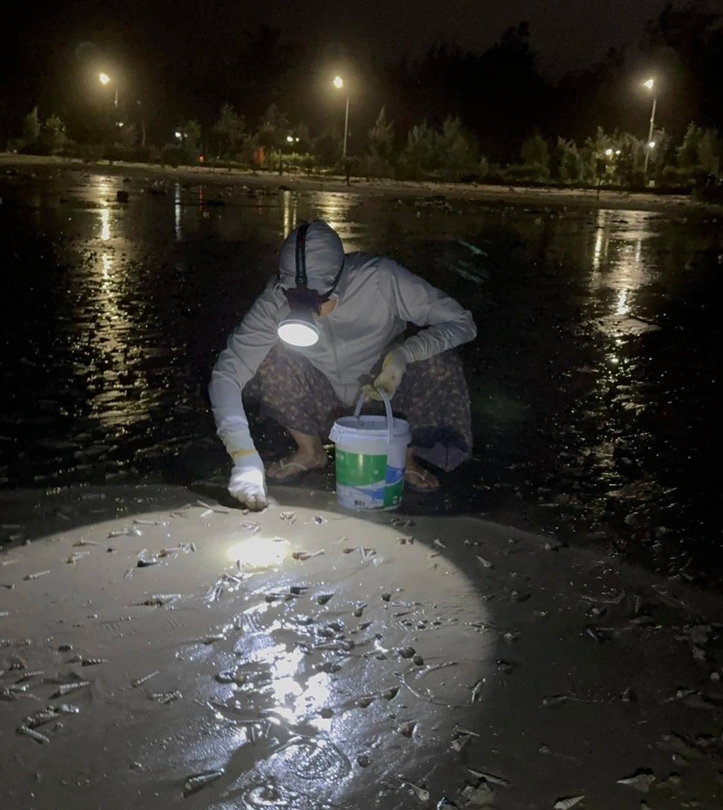 Sự thật video hàng vạn con tôm nhảy lên bờ sau bão hút 1,5 triệu lượt xem - 2 Sự thật video hàng vạn con tôm nhảy lên bờ sau bão hút 1,5 triệu lượt xem - 2