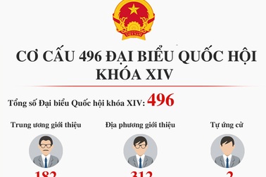 “Tổng quan” 496 đại biểu Quốc hội khóa mới