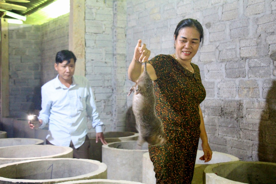Thu nhập bất ngờ từ mô hình nuôi con “thích bóng tối” - 5 Thu nhập bất ngờ từ mô hình nuôi con “thích bóng tối” - 5