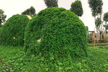 5 ngôi nhà kỳ dị, độc đáo bậc nhất Hà Nội