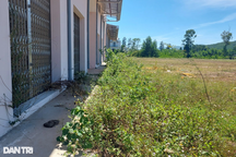 Chợ được đầu tư xây dựng hơn 10 tỷ đồng, chưa hoạt động đã hư hỏng