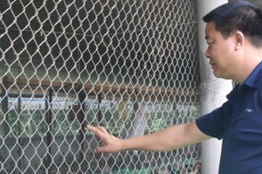 Kiếm tiền tỷ từ nuôi 5.000 gà Đông Tảo