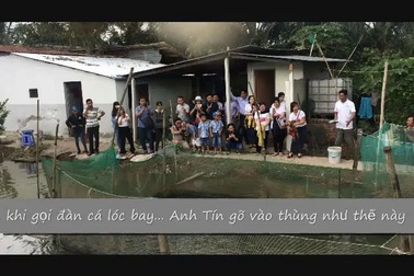 Du khách thích thú với đàn cá lóc bay của anh Lê Trung Tín