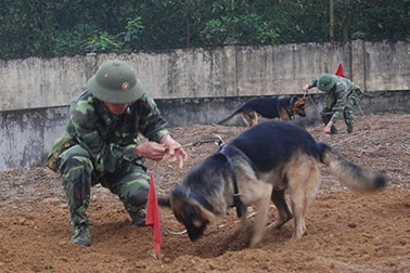 “Vũ khí đặc biệt” của Bộ đội Biên phòng