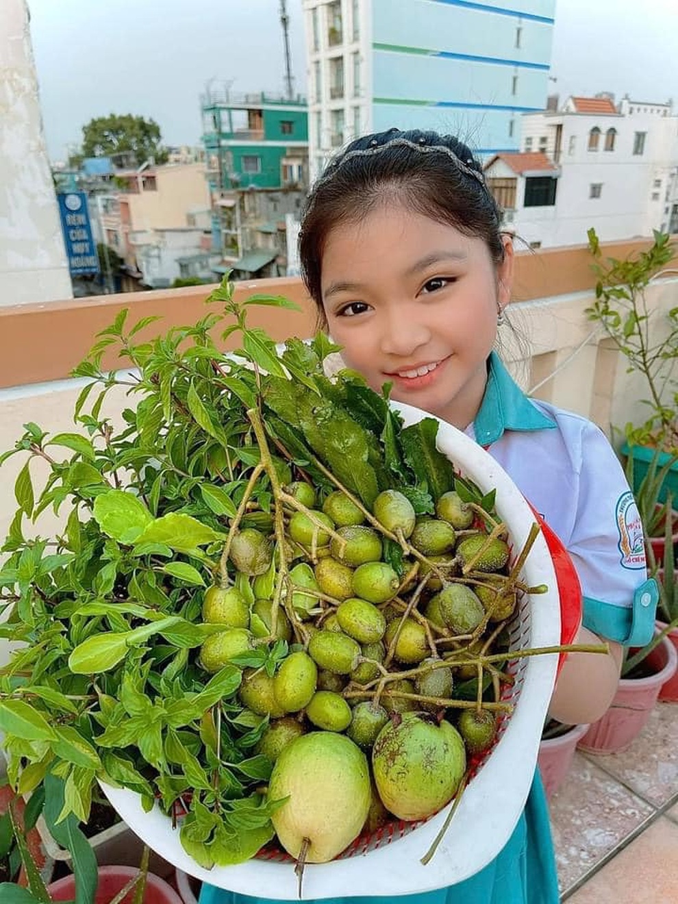 Nữ giám đốc trẻ mát tay làm vườn 170m2 ngập rau, trái trên sân thượng - 15