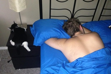 Chùm ảnh vui: "Chủ nào tớ nấy"