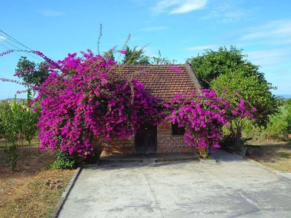 Đã mắt với những ngôi nhà phủ đầy hoa, ngỡ chỉ có trong cổ tích ở Việt Nam - 7 Đã mắt với những ngôi nhà phủ đầy hoa, ngỡ chỉ có trong cổ tích ở Việt Nam - 7