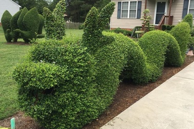 Ngắm vườn cây đẹp như thiên đường của người Việt tại Mỹ