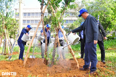 Bộ Công an yêu cầu Lâm Đồng cung cấp thông tin các dự án trồng cây xanh