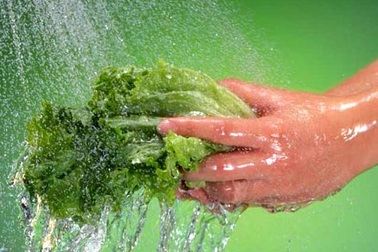 Cần ngăn ngừa bệnh tật đến từ nguồn nước