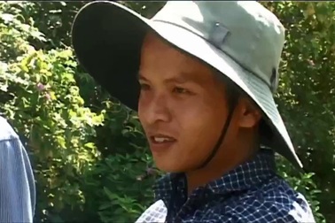 Khu vực rừng xuất hiện đàn trâu hoang tấn công người