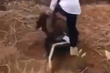 Vụ nữ sinh lớp 9 bị hành hung dã man: Xác định 5 nữ sinh tham gia đánh