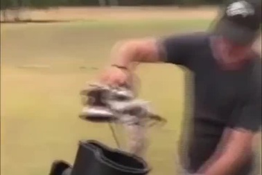 Cua khổng lồ tấn công khách du lịch ở Australia