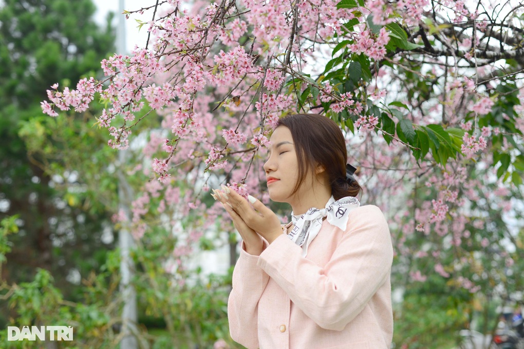 Đà Lạt yêu cầu ngăn chặn nạn ép giá, chèo kéo du khách dịp Tết Nguyên đán - 1