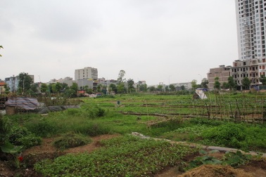 Hàng loạt hộ dân bị thu hồi đất kiến nghị được xem xét lại mức giá đền bù