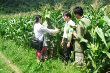 Quảng Bình: Hàng chục cán bộ tri thức trẻ… bơ vơ khi kết thúc dự án