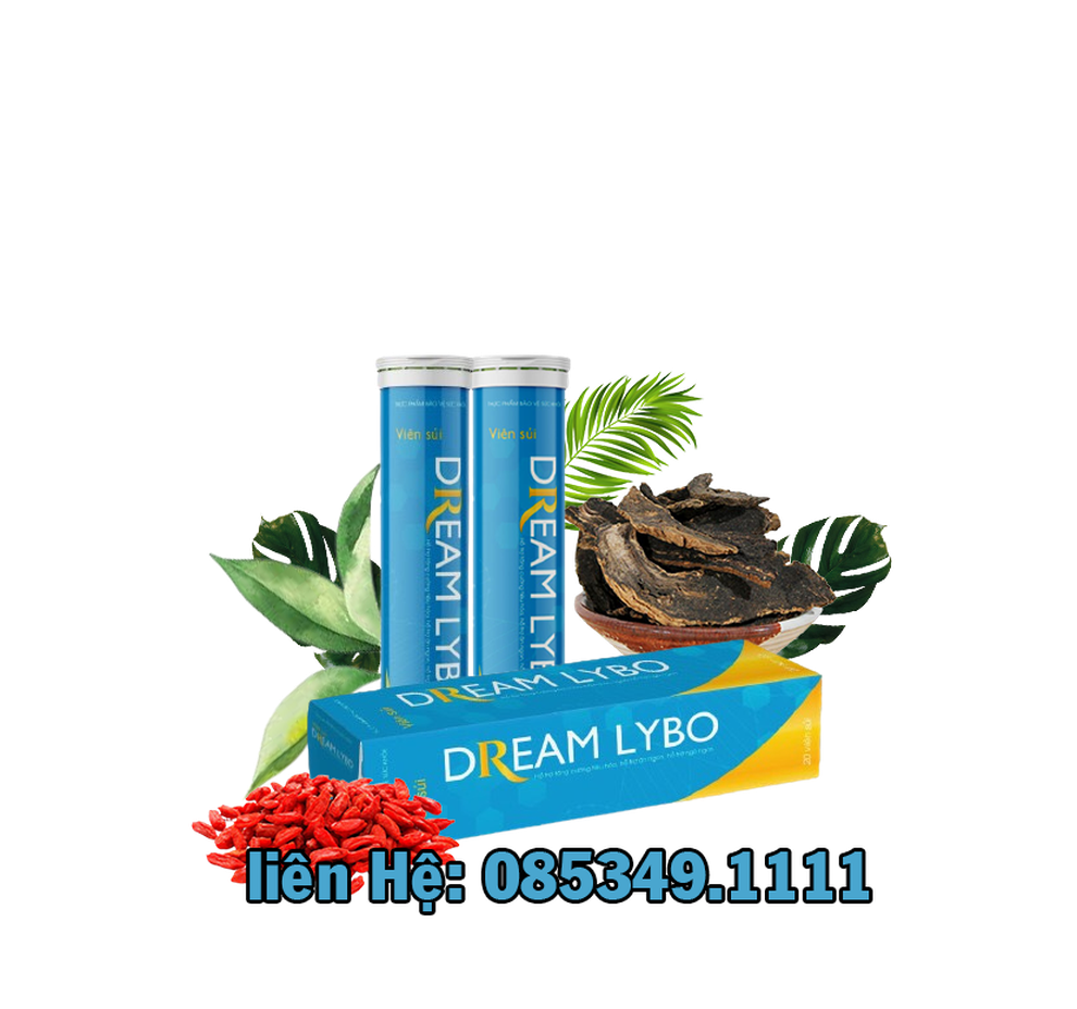 Hỗ trợ ngon miệng, tăng đề kháng nhờ viên sủi Dream Lybo - 2 Hỗ trợ ngon miệng, tăng đề kháng nhờ viên sủi Dream Lybo - 2