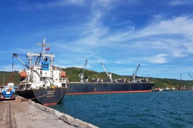 Tập đoàn Trung Quốc muốn đầu tư vào Vũng Áng, nhiều chuyên gia đề nghị cân nhắc