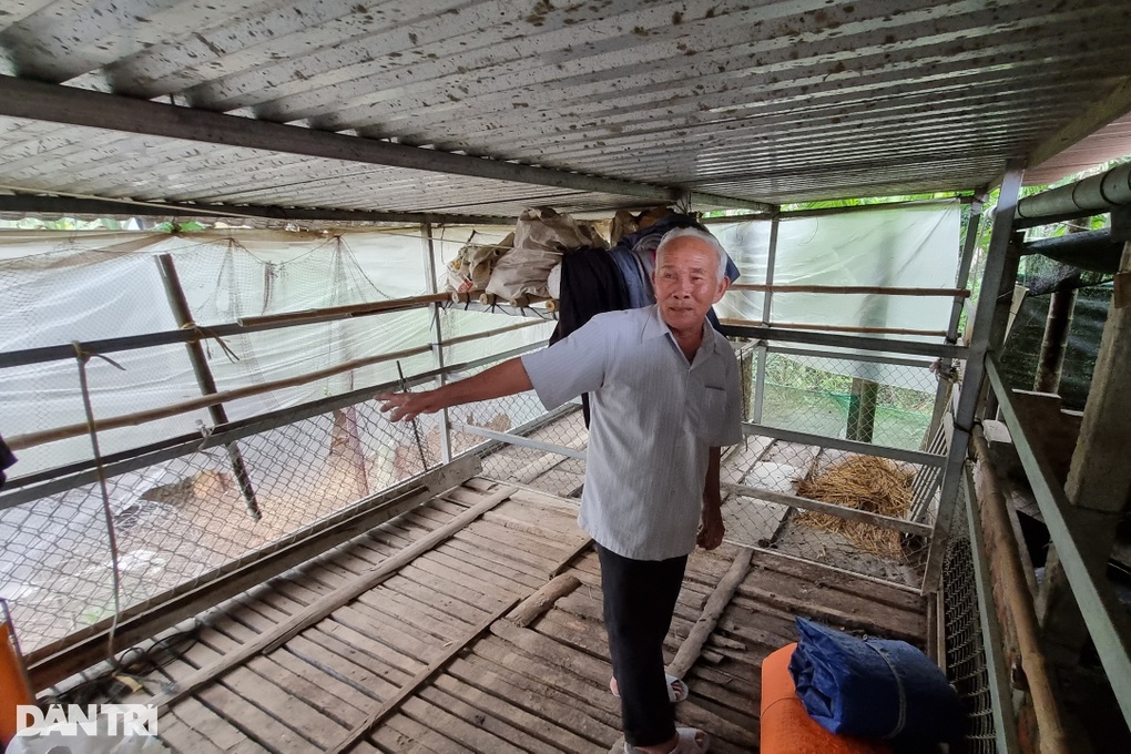 Cuộc sống nơi nhà nào cũng ráng xây nhà lầu cho... trâu, bò - 2 Cuộc sống nơi nhà nào cũng ráng xây nhà lầu cho... trâu, bò - 2