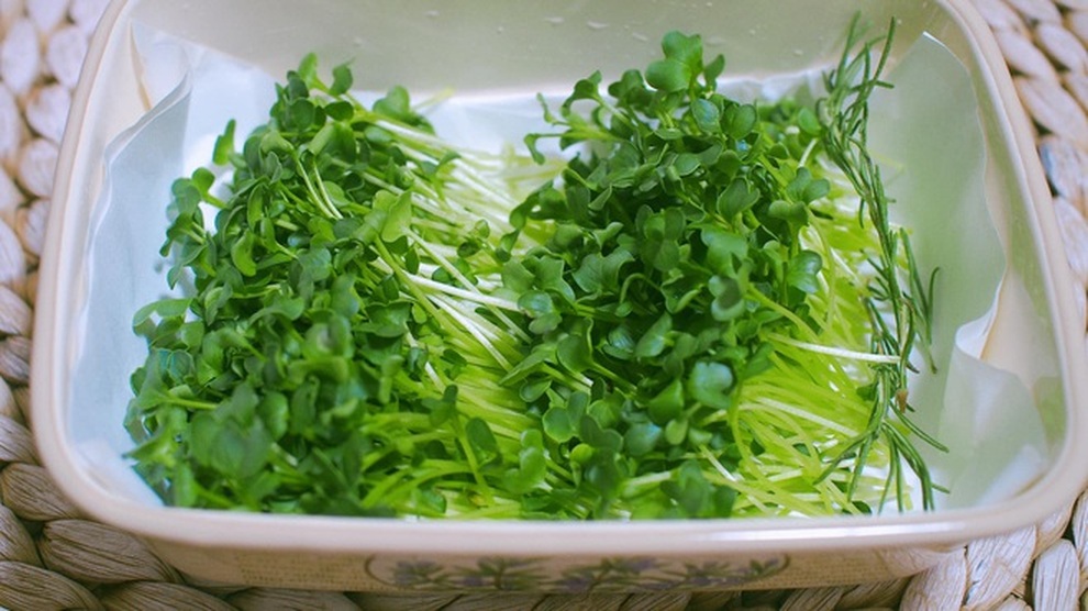 Giá rau tăng chóng mặt, thử trồng rau mầm cho thu hoạch chỉ trong 5 ngày - 5 Giá rau tăng chóng mặt, thử trồng rau mầm cho thu hoạch chỉ trong 5 ngày - 5