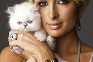 Khi Paris Hilton “cưa sừng làm nghé” 