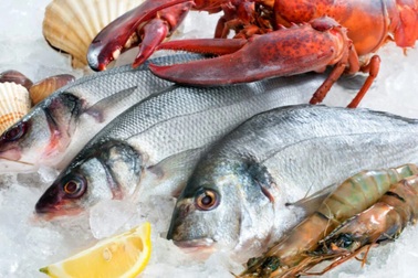 Khoa học chứng minh ăn nhiều cá biển làm giảm phát triển khối u vú đến 50%