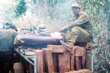 Hàng ngàn lâm tặc tàn phá vườn quốc gia Kon Ka Kinh