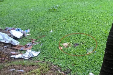 Phát hiện thi thể cụ bà nằm úp mặt xuống hồ nước