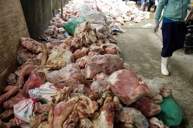 Phát hiện 15 tấn nội tạng động vật rỉ nước, bối mùi hôi thối