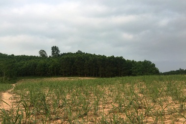 Dân hoang mang khi chủ đầu tư đòi đổi địa điểm dự án gần 4 nghìn tỷ tại Thanh Hóa