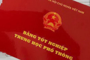 Quảng Trị: 14 cán bộ dùng bằng giả, 7 người bị cho thôi việc