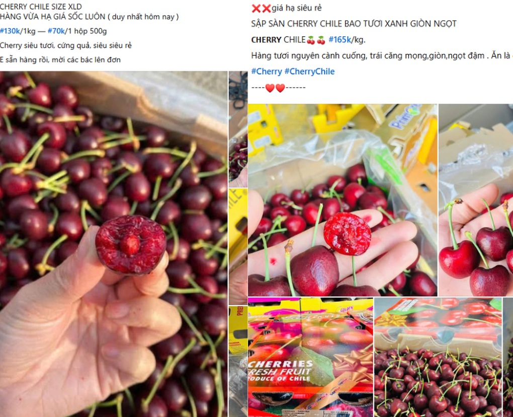 Cherry Chile ồ ạt về Việt Nam bán giá siêu rẻ, chỉ hơn 100.000 đồng/kg - 1 Cherry Chile ồ ạt về Việt Nam bán giá siêu rẻ, chỉ hơn 100.000 đồng/kg - 1